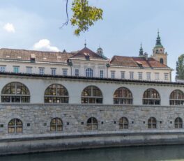 Ljubljana Central Market
